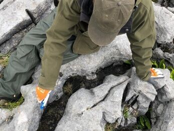 Grike in limestone pavement is being sprayed 