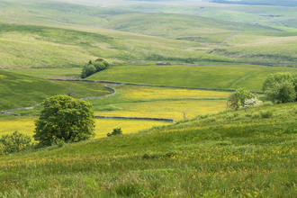 Landscape vista photograph of Ashes Pasture nature reserve