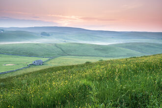 Landscape photograph of Ashes Pasture nature reserve at sunrise 