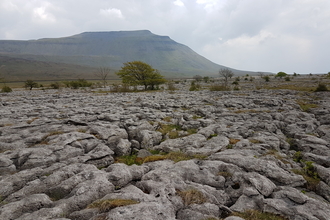 A landscape photograph of Southerscales nature reserve
