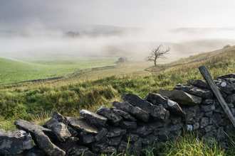 Landscape photograph of Ashes Pasture nature reserve