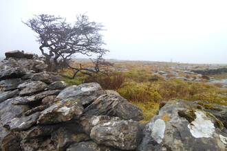 Landscape photograph of South House Pavement nature reserve