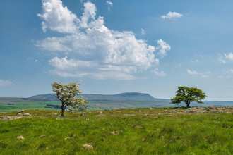 The Ashes Shaw landscape with & Pen-y-Ghent