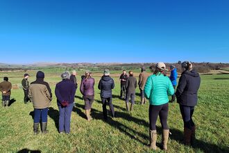 Farmers facing into distance watching ground nesting birds in flight.