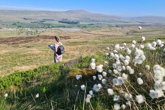 Person standing with clipboard looking out onto the reserve. Cotton grass is in bloom in the foreground. 