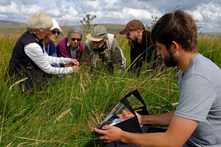 Volunteers carrying out a vegetation survey.