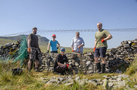 Volunteers helping with dry stone walling