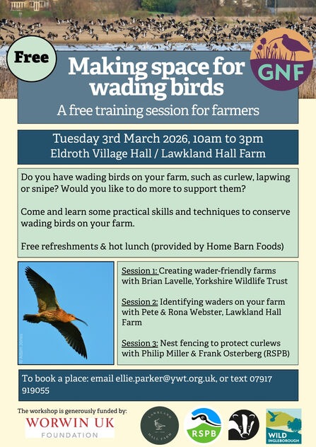 Poster for Making space for wading birds training session for farmers. 