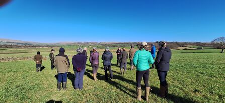 Farmers facing into distance watching ground nesting birds in flight.