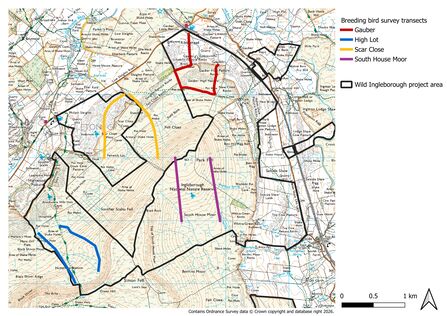 Map of Ingleborough NNR with breeding bird survey transects marked out.