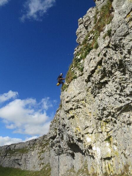 Abseiling to collect seed of Spiked speedwell 