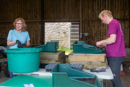 Two volunteers potting on plants at upland nursery