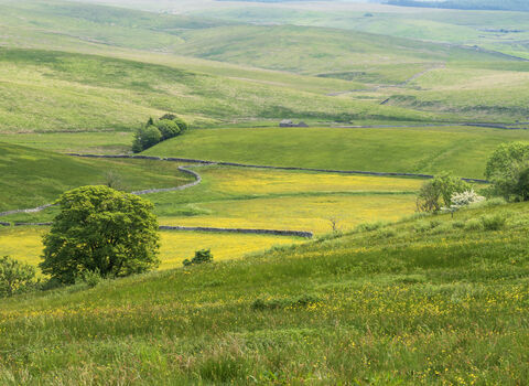 Landscape vista photograph of Ashes Pasture nature reserve