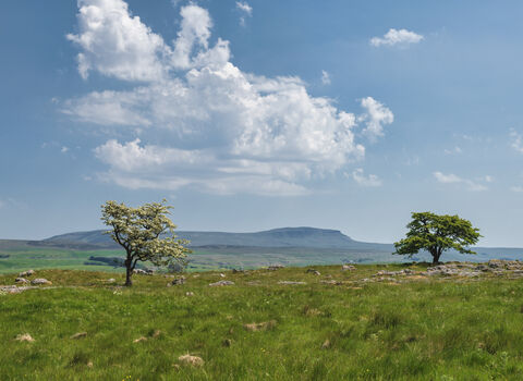 Landscape photograph of Ashes Shaw nature reserve with Pen-y-Ghent in the background