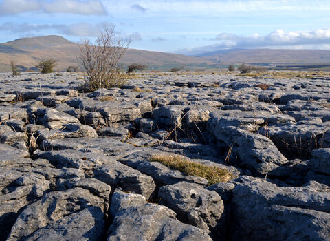 The limestone pavement at Southerscales