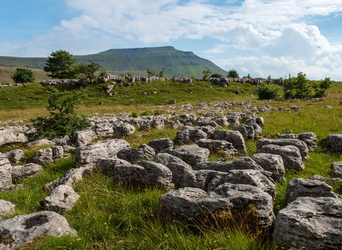 Limestone pavement and Ingleborough