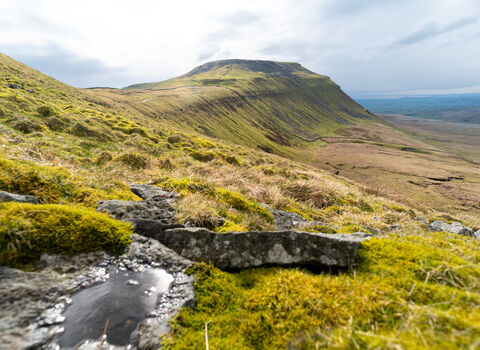 A grassy landscape shot of Ingleborough mountain